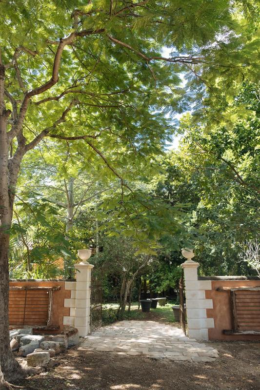 Entrada del estacionamiento al jardín, pilares con copas