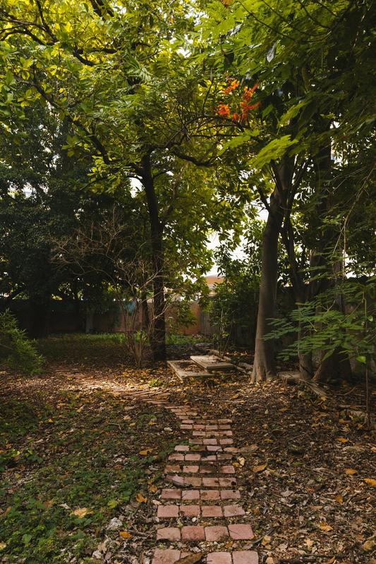 Vereda de ladrillo entre los árboles